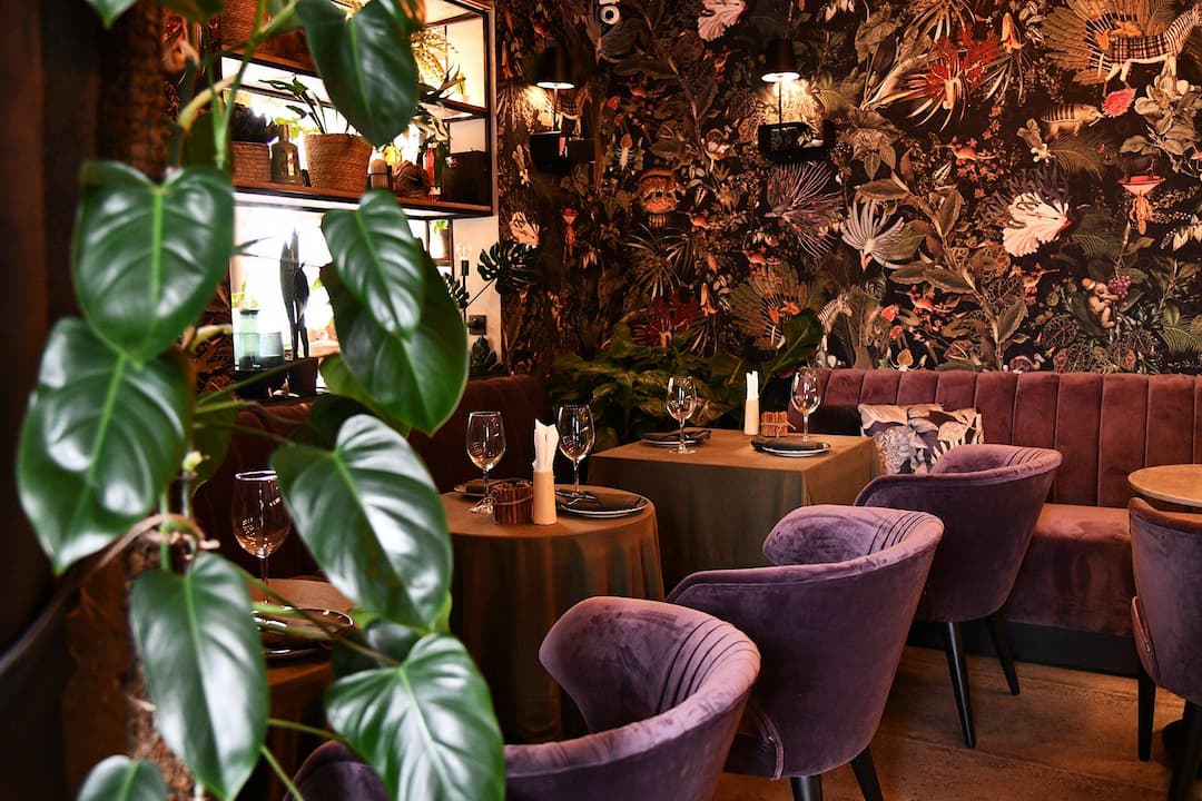 RestoGuide - Cafe Suro  